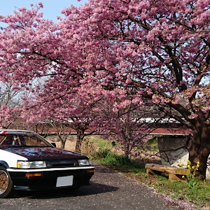 カローラレビン AE86