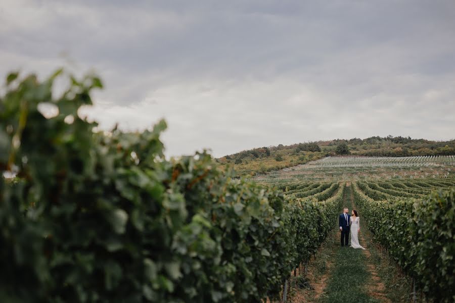 Fotógrafo de casamento Tímea Kopčáková (timifoto). Foto de 25 de janeiro 2023