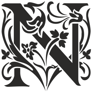 NaturaXL logo