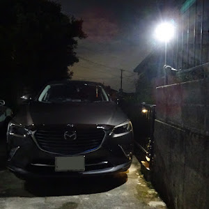 CX-3 DK5FW