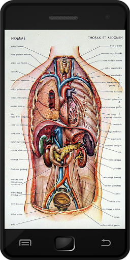 免費下載教育APP|Human Anatomy app開箱文|APP開箱王