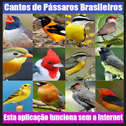 Cantos de Pássaros Brasileiros  Icon