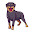 Rottweiler HD Wallpapers - Custom New Tab