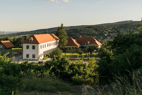 Bröllopsfotograf Daniel Nedeliak (danielnedeliak). Foto av 28 november 2019