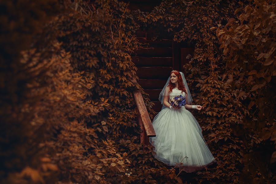 Fotógrafo de casamento Dmitriy Stenko (loveframe). Foto de 30 de abril 2014