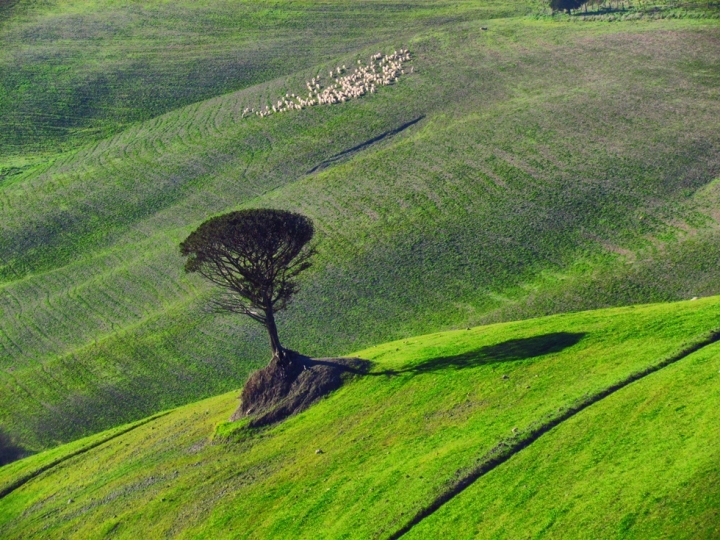 TOSCANA di tizianadesy