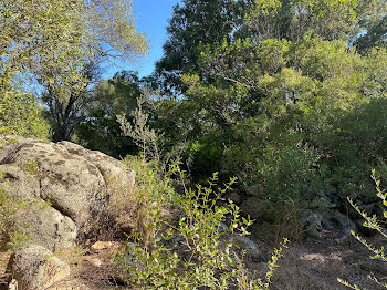 terrain à Sotta (2A)