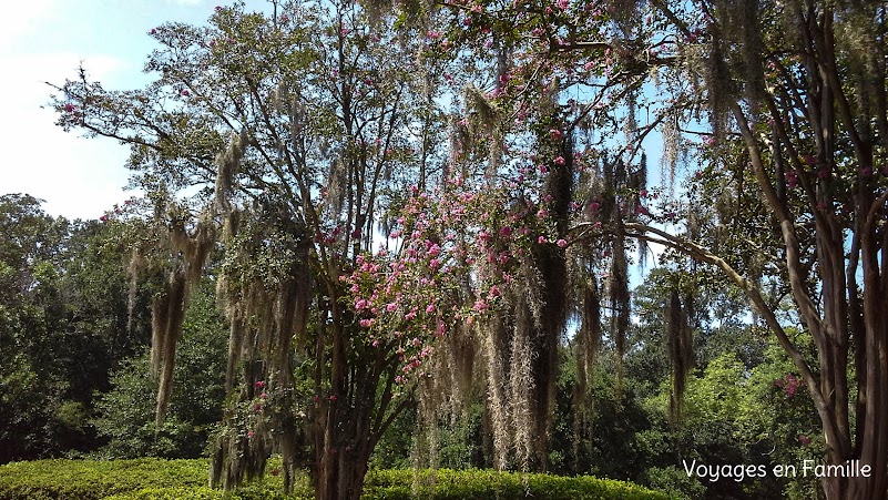 Monmouth historic inn Natchez