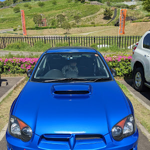 インプレッサ WRX STI GDB