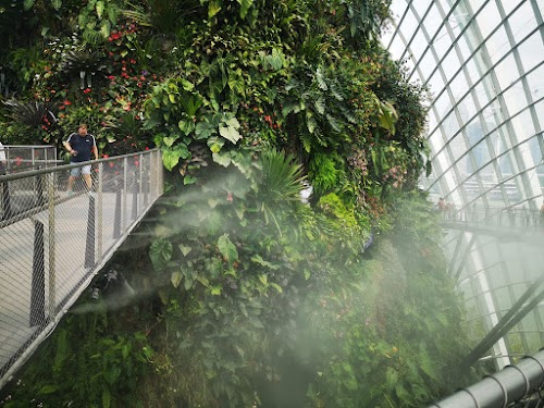 Malasia y Singapur en 12 días. Septiembre 2019 - Blogs de Asia Sudeste - Un día en Gardens by the Bay (14)