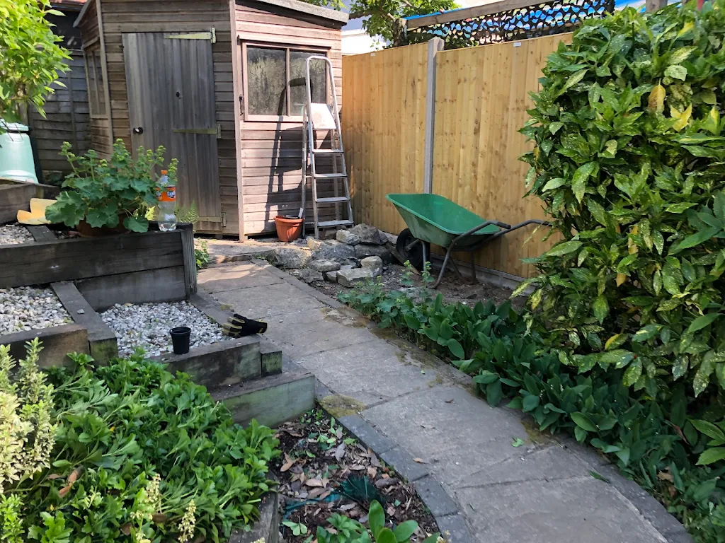 Album cover: Deep cleaning of pathway and hard cut back of shrubs and foliage