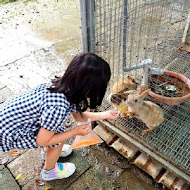 A‧maze兔子迷宮咖啡餐廳