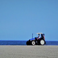 sulla spiaggia    di 