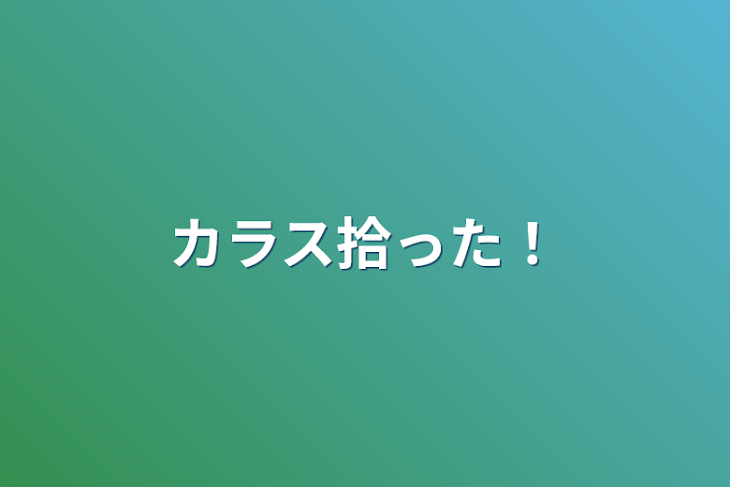 「カラス拾った！」のメインビジュアル