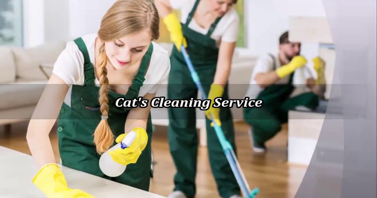 Cat's Cleaning Service.mp4