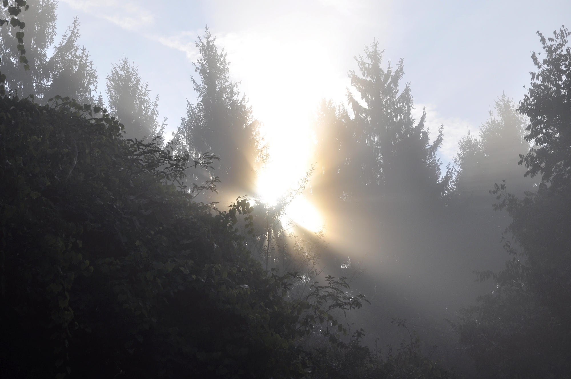 Raggi di nebbia di Andrea74