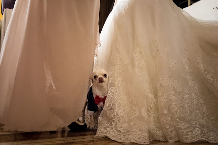 Fotógrafo de casamento Fabian Gonzales (feelingrafia). Foto de 23 de julho 2018