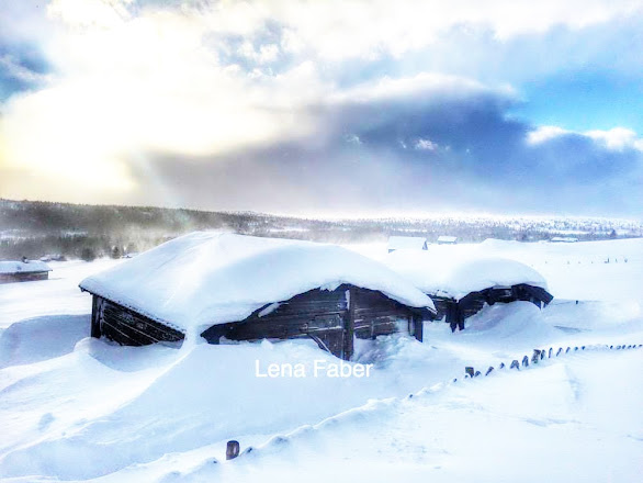 Photo: Skiing in Hornsjo