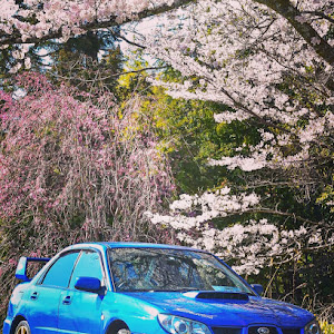 インプレッサ WRX GDA