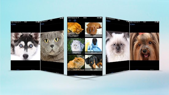 How to download Cat & Dog Puzzle Memory Game 1.0 mod apk for pc