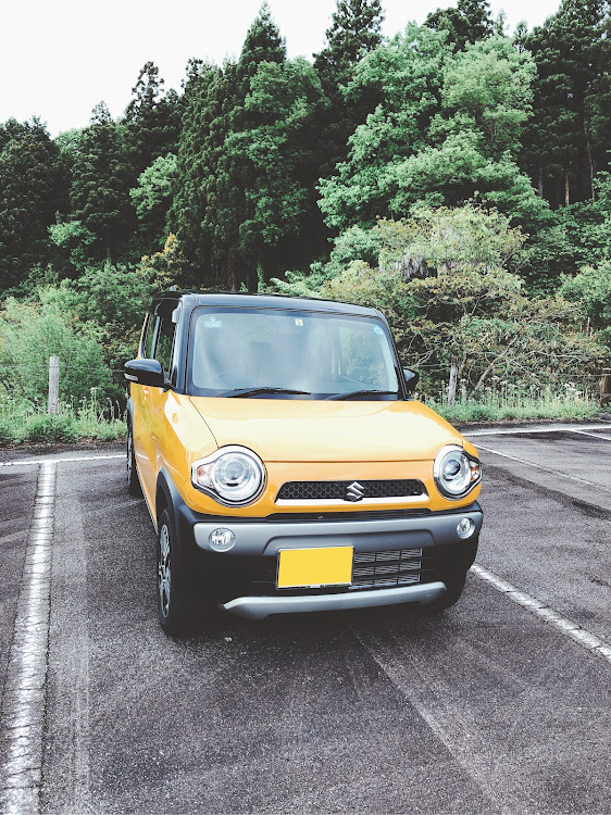 ハスラーのドライブに関するカスタム事例の投稿画像1枚目
