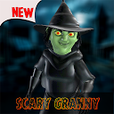 Descargar Scary Granny - House of Fear - Creepy Hou Instalar Más reciente APK descargador