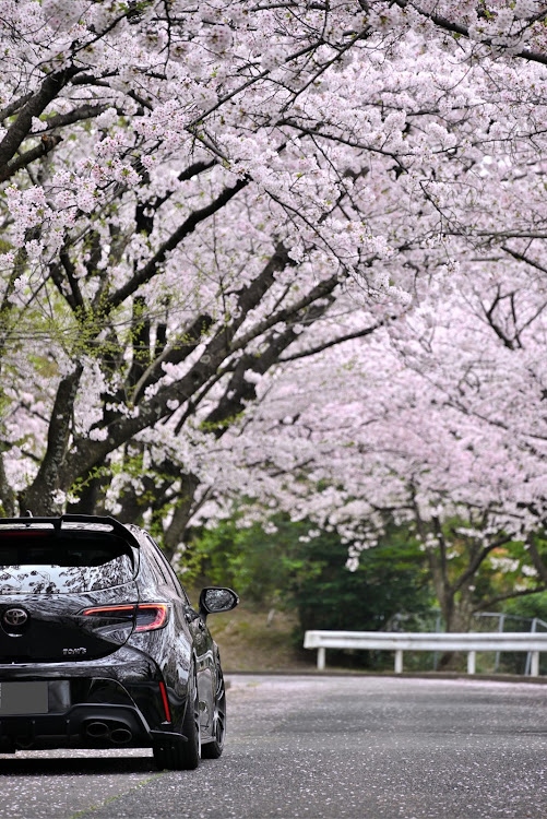 カローラスポーツのカローラスポーツ・サクラと愛車・桜に関するカスタム事例の投稿画像3枚目