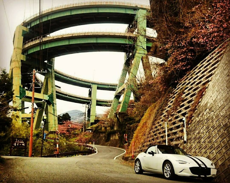 ロードスターのドライブ・愛車撮影・河津七滝ループ橋・河津桜・南伊豆に関するカスタム事例の投稿画像3枚目