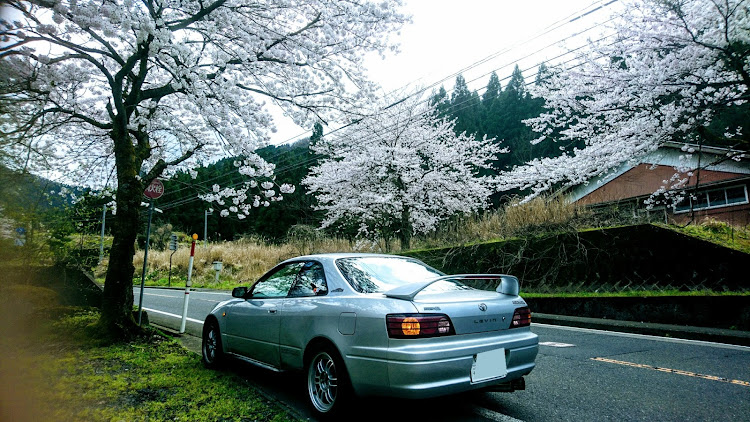 カローラレビンの桜に関するカスタム事例の投稿画像2枚目