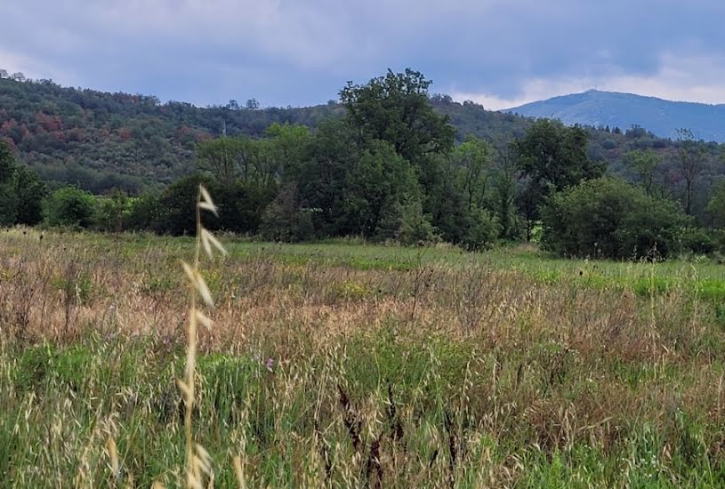  Vente Terrain + Maison - Terrain : 452m² - Maison : 101m² à Espira-de-Conflent (66320) 