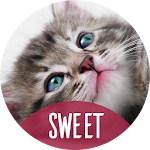 Cover Image of Download Backgrounds with cute animals 02.04.2020-sweet APK