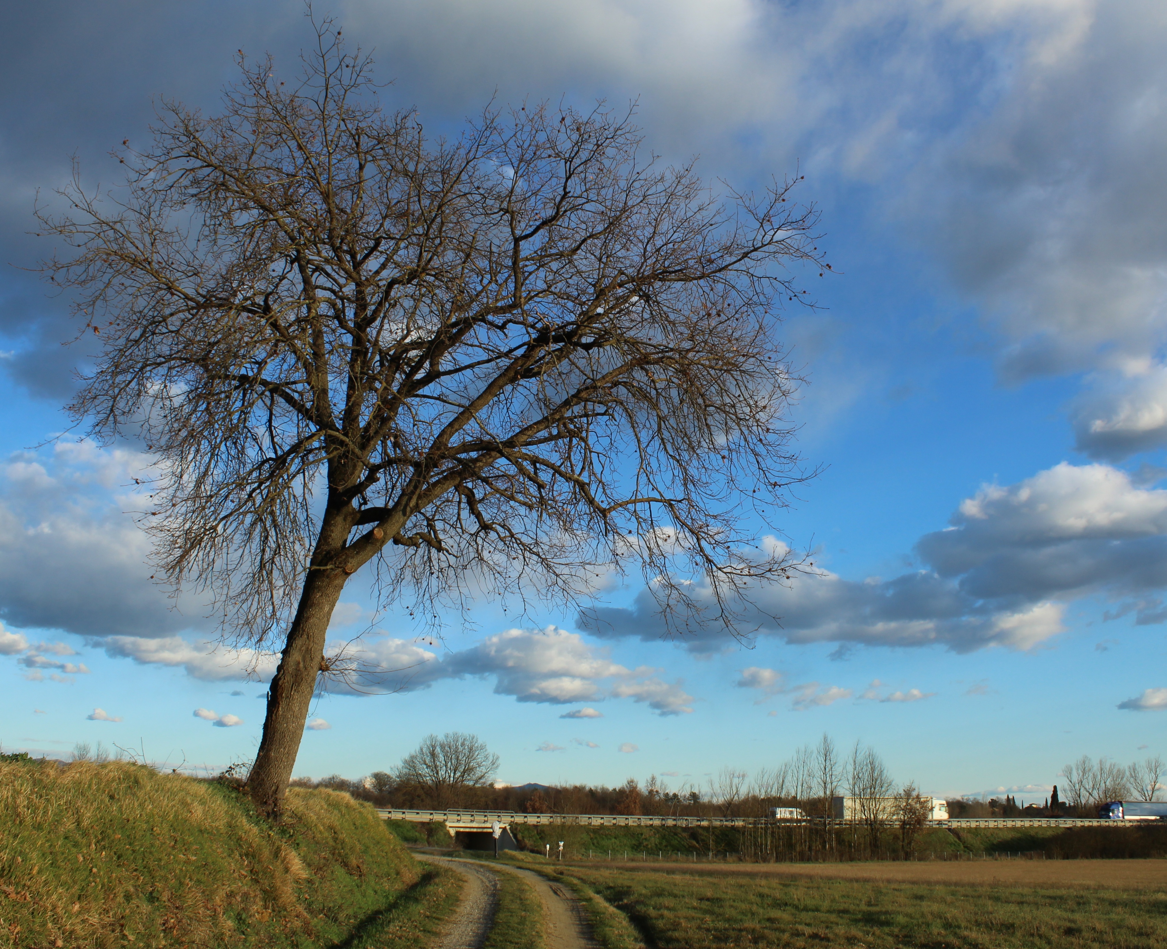 Paesaggio di Febbraio di nico_lrn