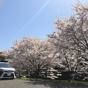 ヴォクシー ZRR80W