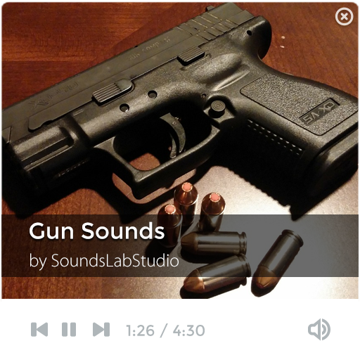 Gun Sounds