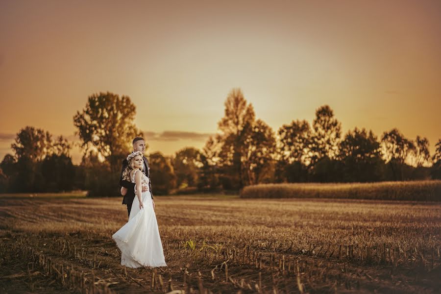 Photographe de mariage Dominika Bieniek (dominikabieniek). Photo du 14 novembre 2022