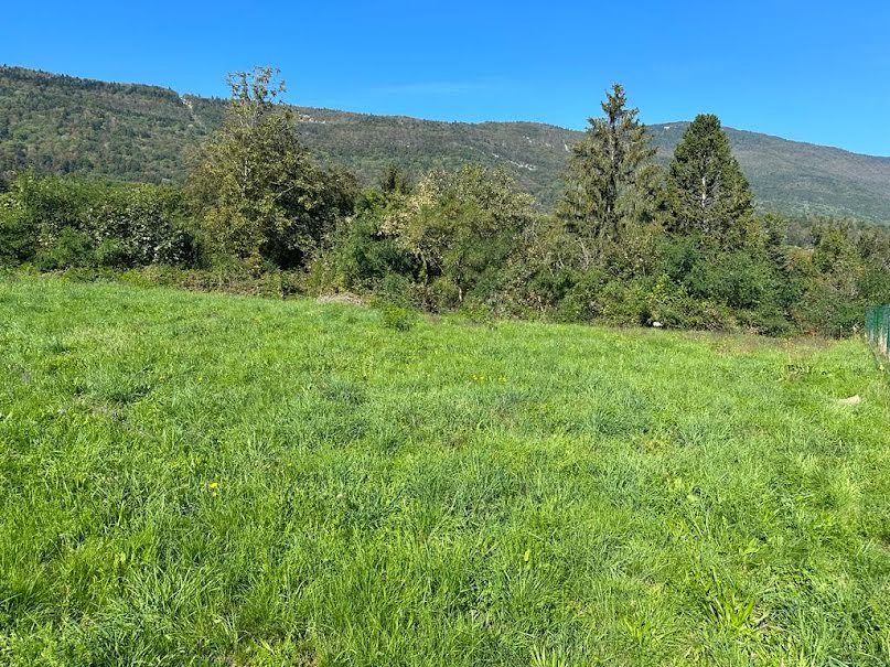 Vente terrain  600 m² à Drumettaz-Clarafond (73420), 320 000 €