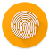 Fingerprint Action Pro icon