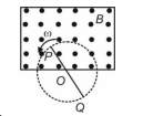 Magnetic Flux