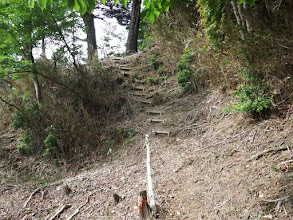 階段を登る