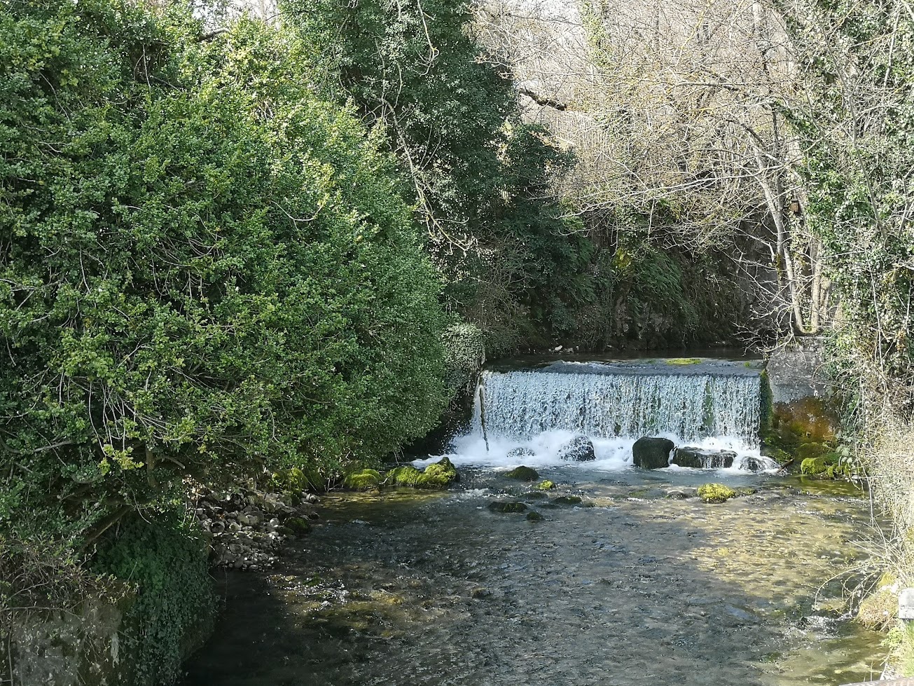 Sources de la Venoge à L'Isle