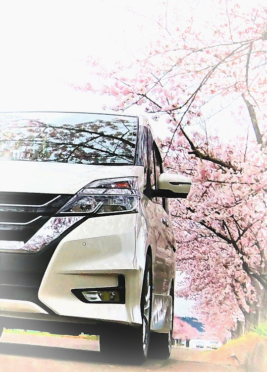 38DRさんが投稿した2018ベストショットに関するカスタム事例の投稿画像1枚目