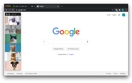 Google Meet Portal