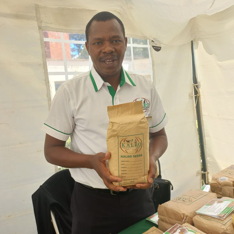 James Karanja, a maize breeder from Kalro at Kalro headquarters in Nairobi