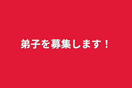 弟子を募集します！