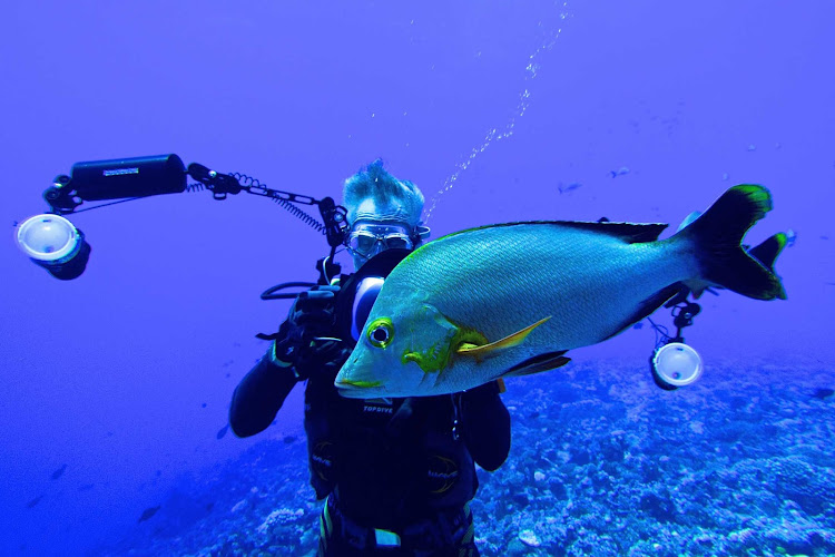 Get up close and personal with some reef fish on a Lindblad expedition to the South Pacific.