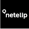 Item logo image for netelip Click 2 Extension