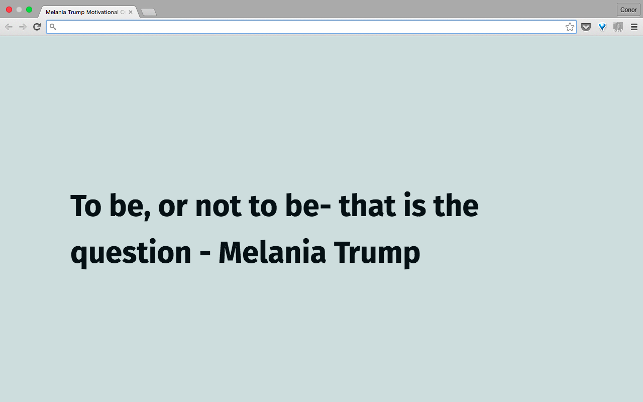 Melania Trump Motivational Quotes Preview image 3