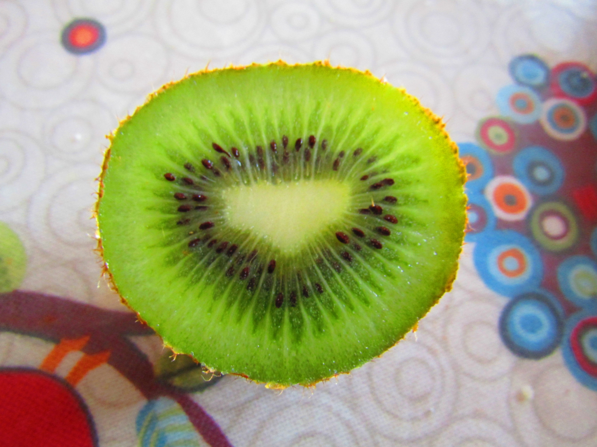 Una mutandina al centro di un Kiwi di Danny_Skylix