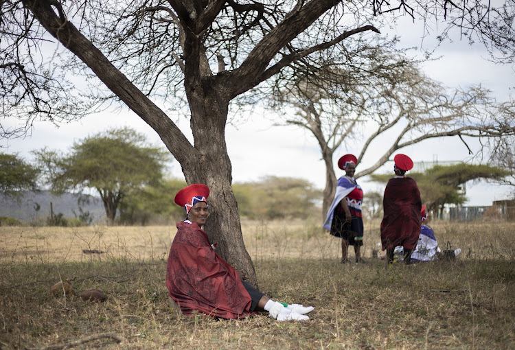 Thulisile Masondo rests under the tree during the Umkhosi Wesivivane at KwaKhangela Royal Palace