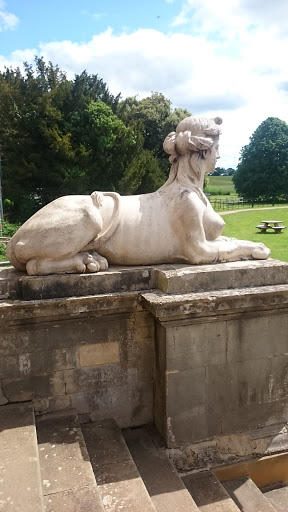 Croome Lioness